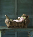 15805 Naptime  